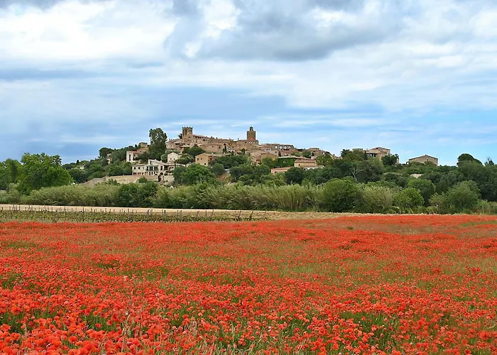 Casa Llevadora 別荘 *